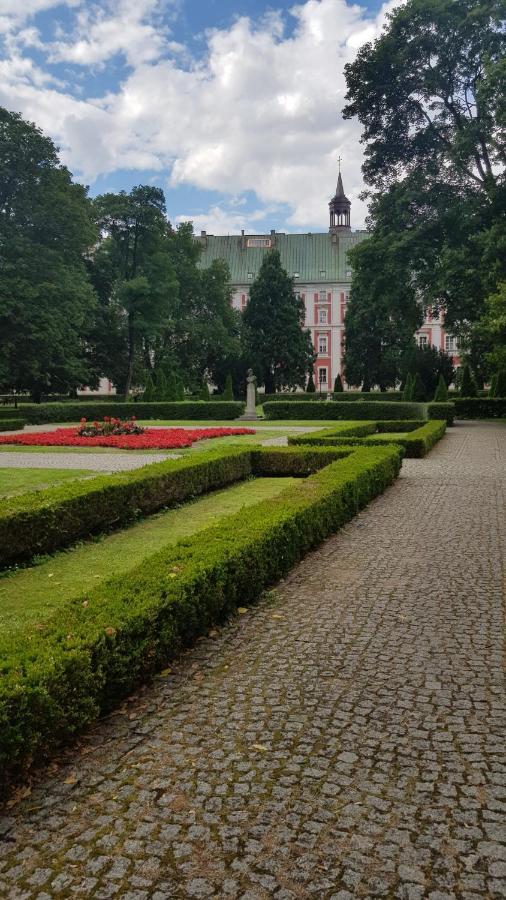 Chopin Park Lux Apartment, Self Check-In 24H, Free Parking, Air-Conditioning Poznan Exterior photo